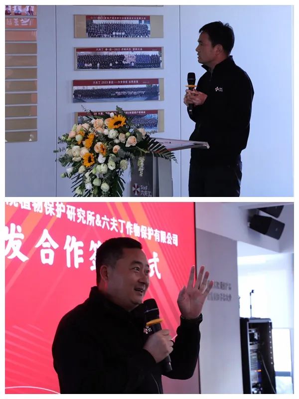 2026世界杯下注平台