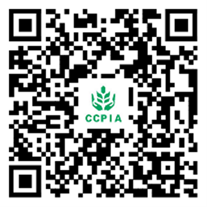 2026世界杯下注平台