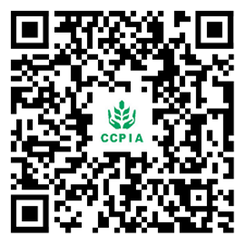 2026世界杯下注平台