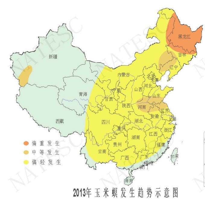 2026世界杯下注平台