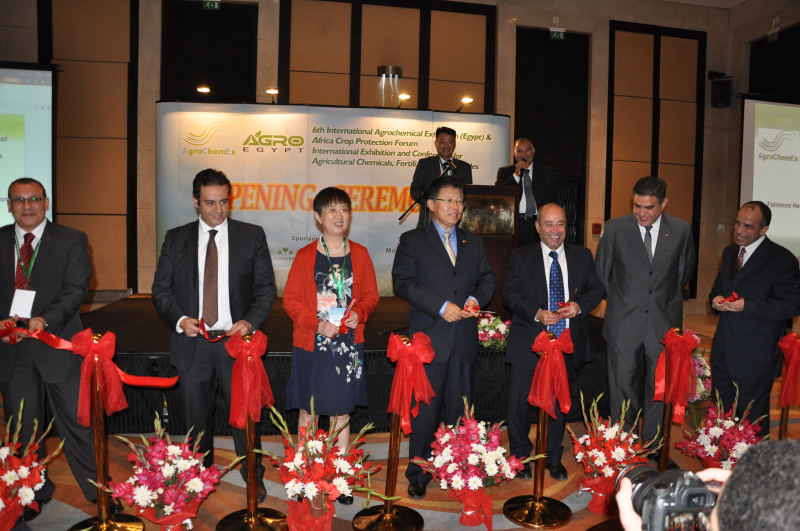 2026世界杯下注平台