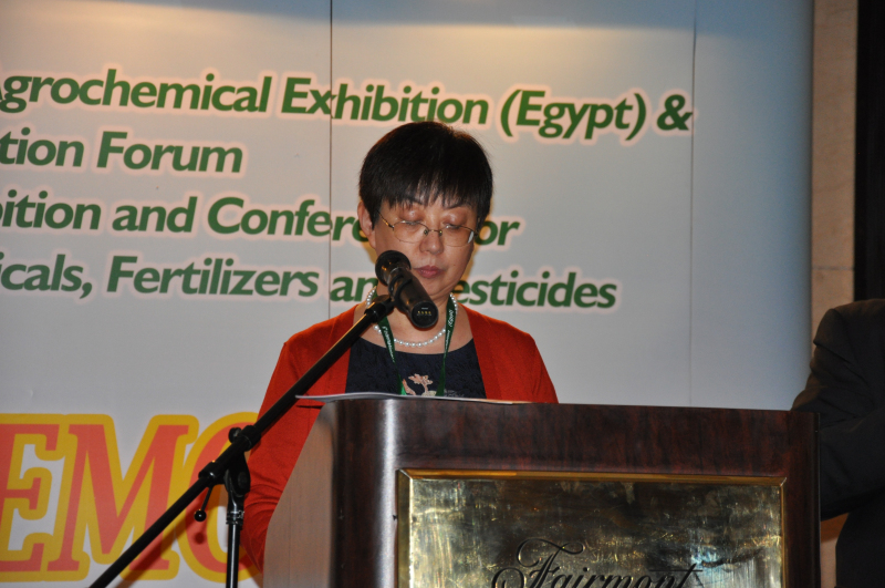 2026世界杯下注平台