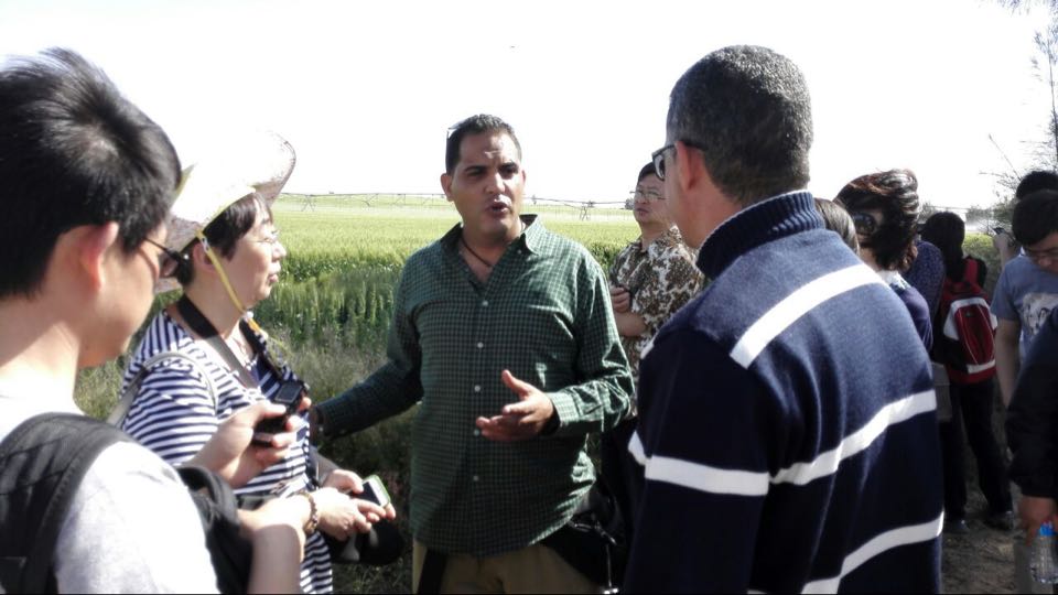 2026世界杯下注平台