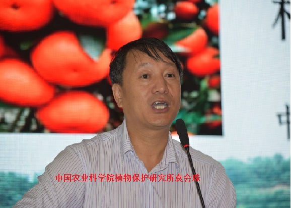 2026世界杯下注平台