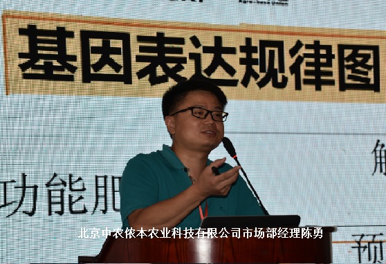 2026世界杯下注平台