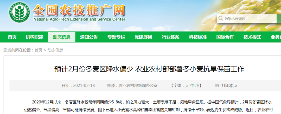 2026世界杯下注平台