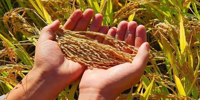 2026世界杯下注平台