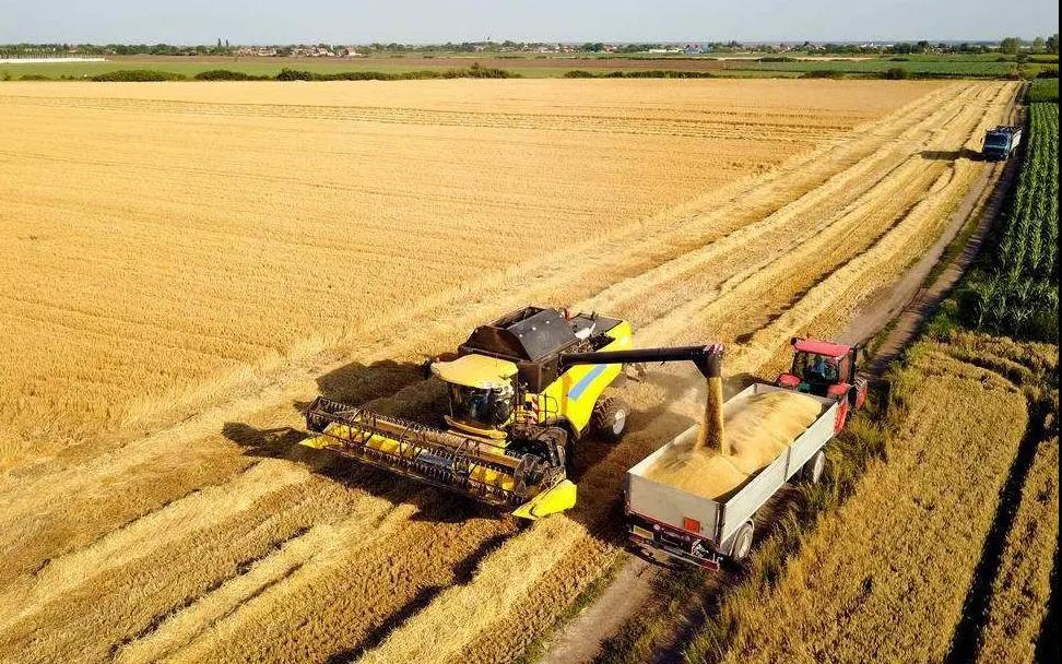 2026世界杯下注平台