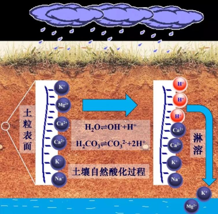 2026世界杯下注平台