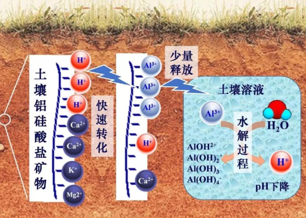 2026世界杯下注平台