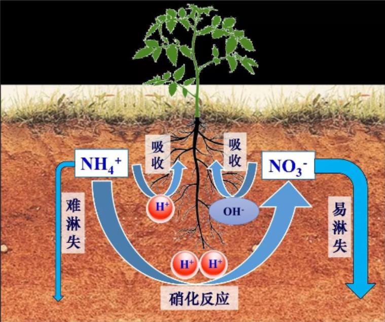 2026世界杯下注平台