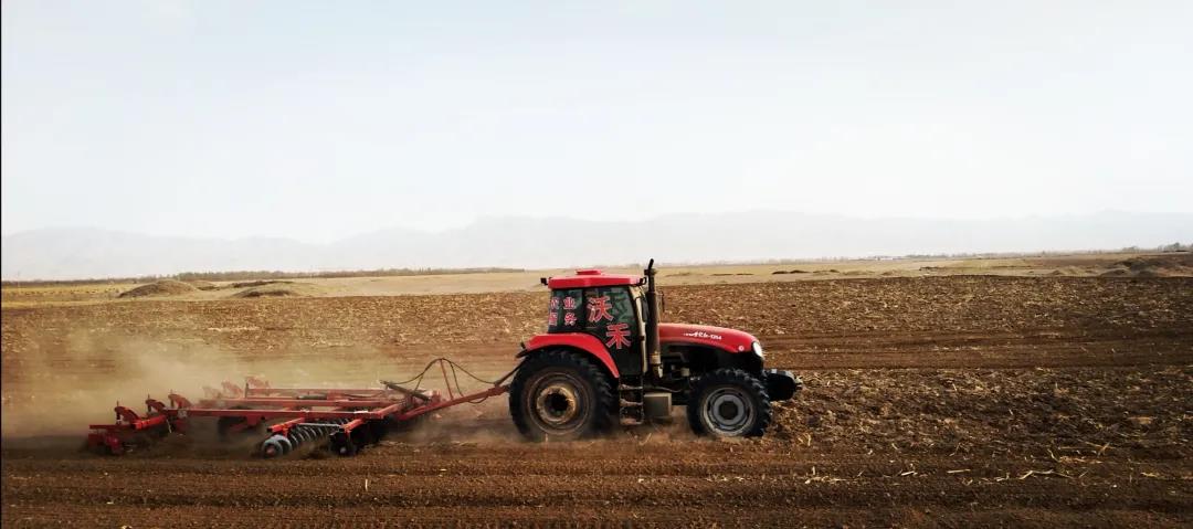 2026世界杯下注平台