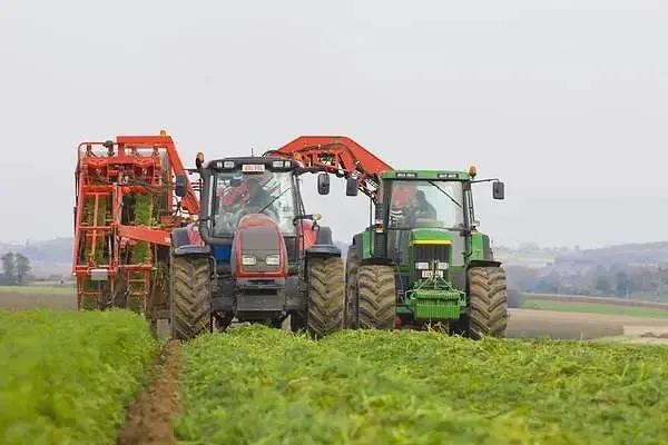 2026世界杯下注平台