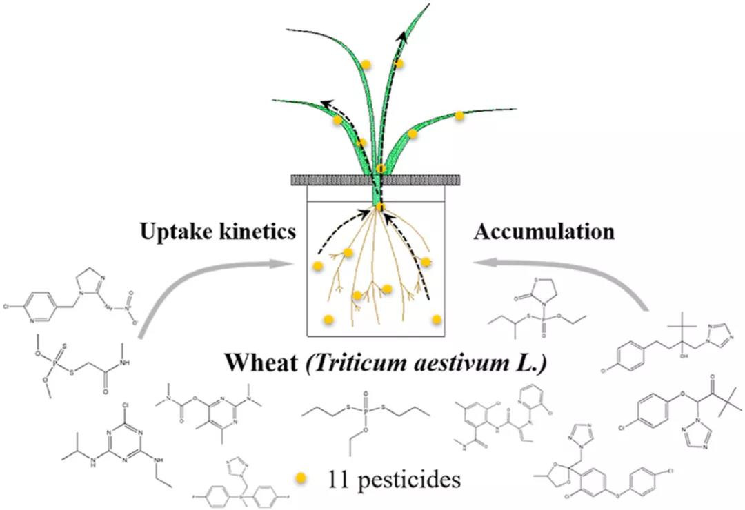 2026世界杯下注平台