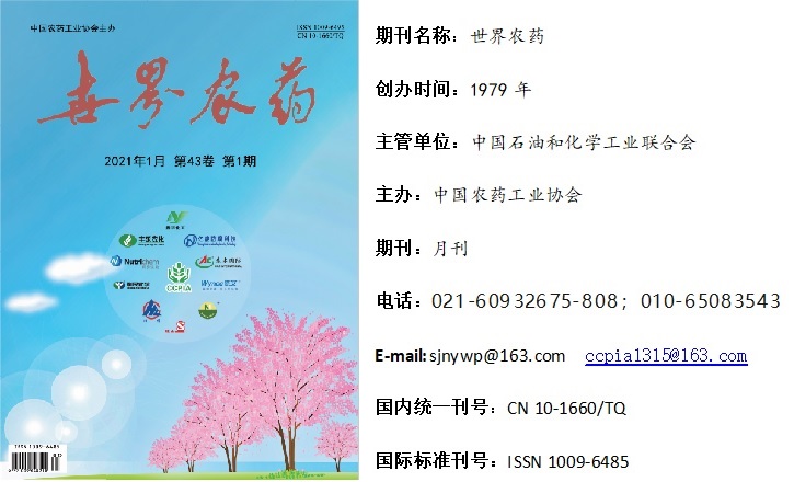 2026世界杯下注平台