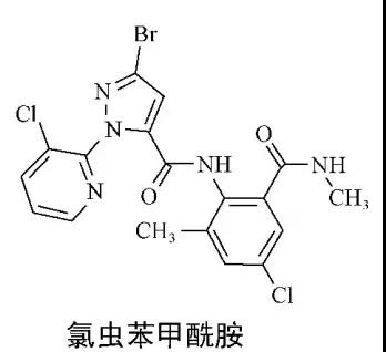2026世界杯下注平台