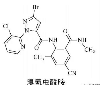 2026世界杯下注平台