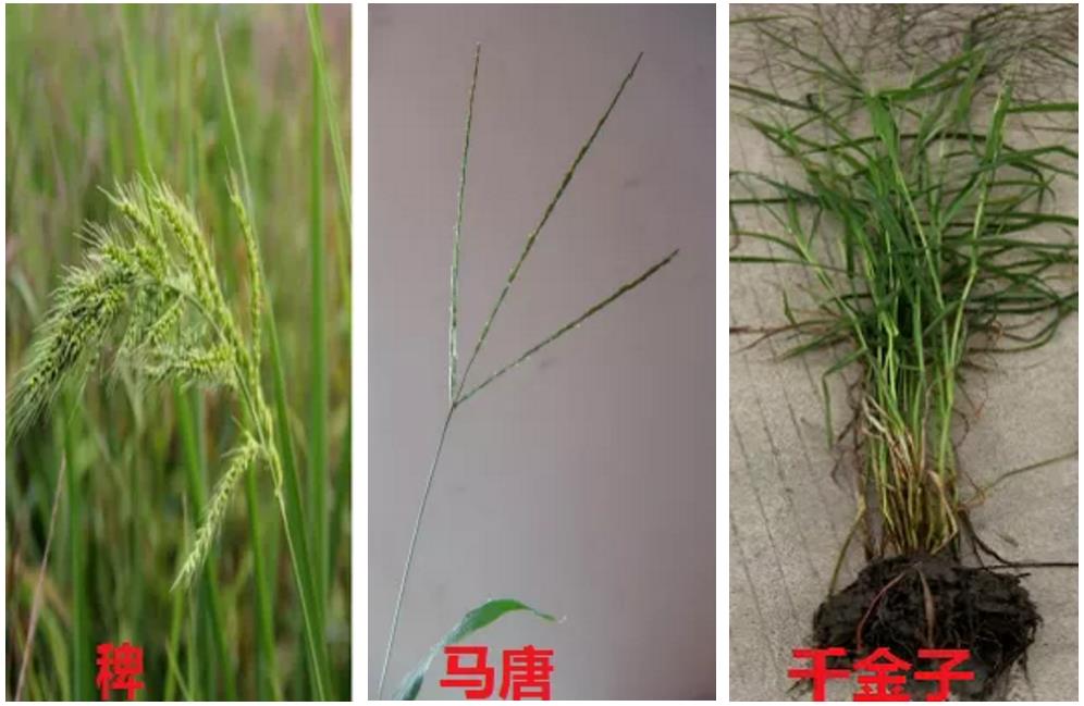 2026世界杯下注平台