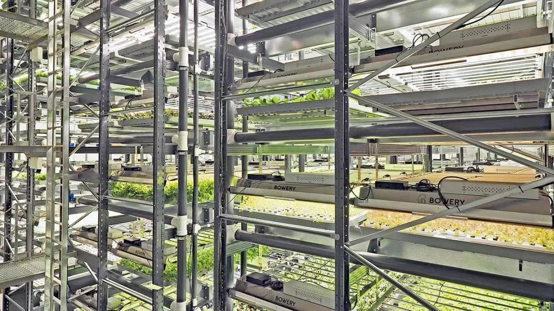 2026世界杯下注平台