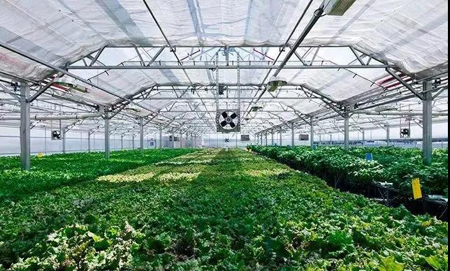 2026世界杯下注平台