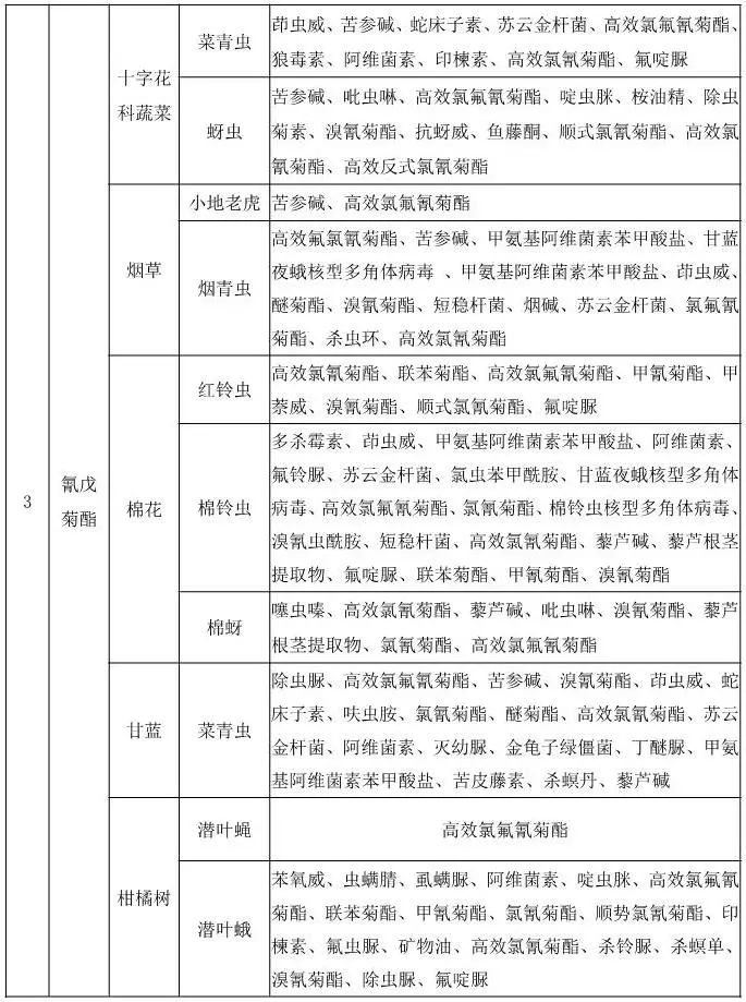 2026世界杯下注平台