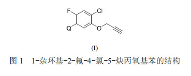 2026世界杯下注平台
