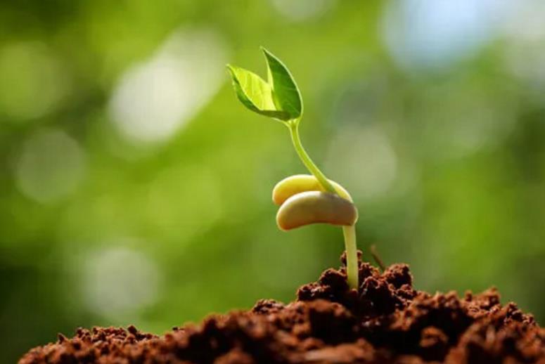 2026世界杯下注平台