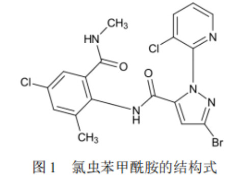 2026世界杯下注平台