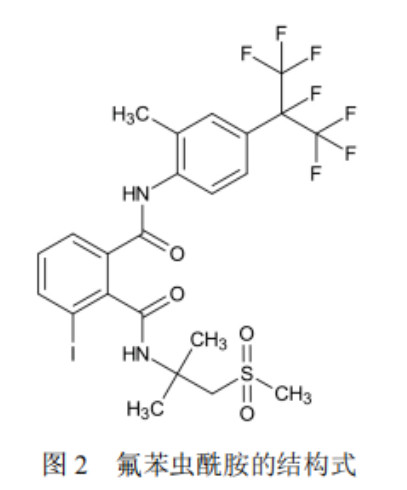 2026世界杯下注平台