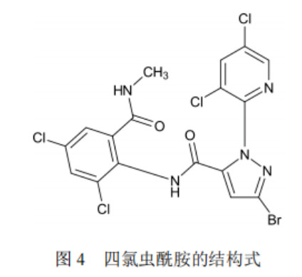 2026世界杯下注平台