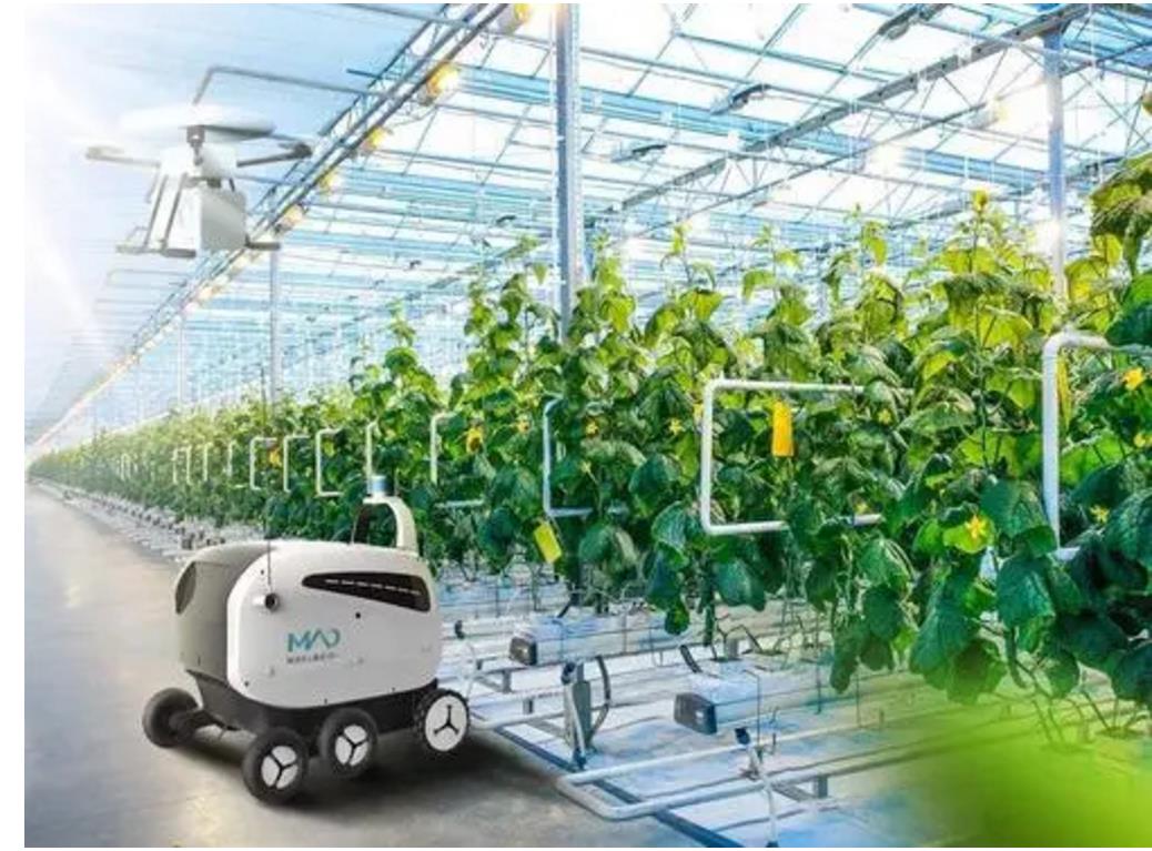 2026世界杯下注平台