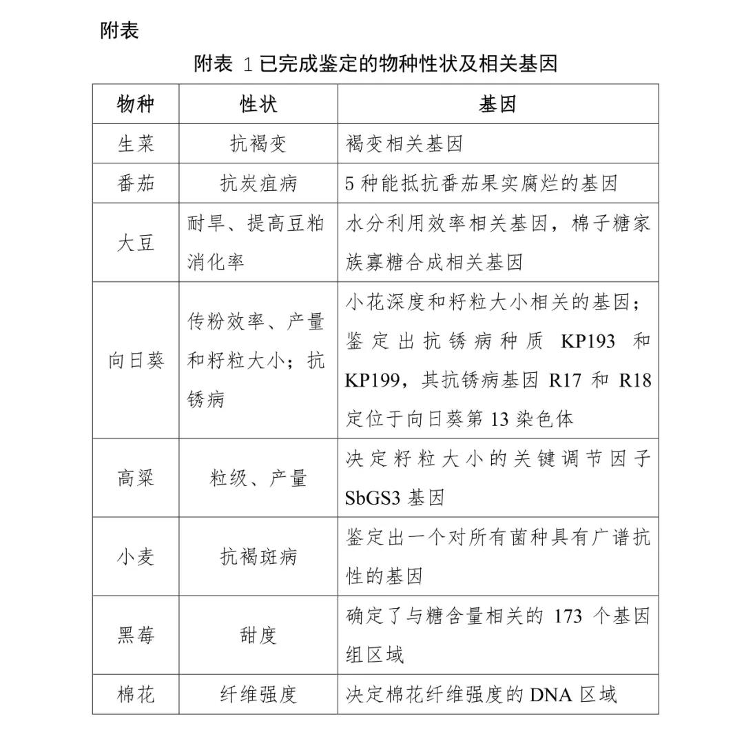 2026世界杯下注平台