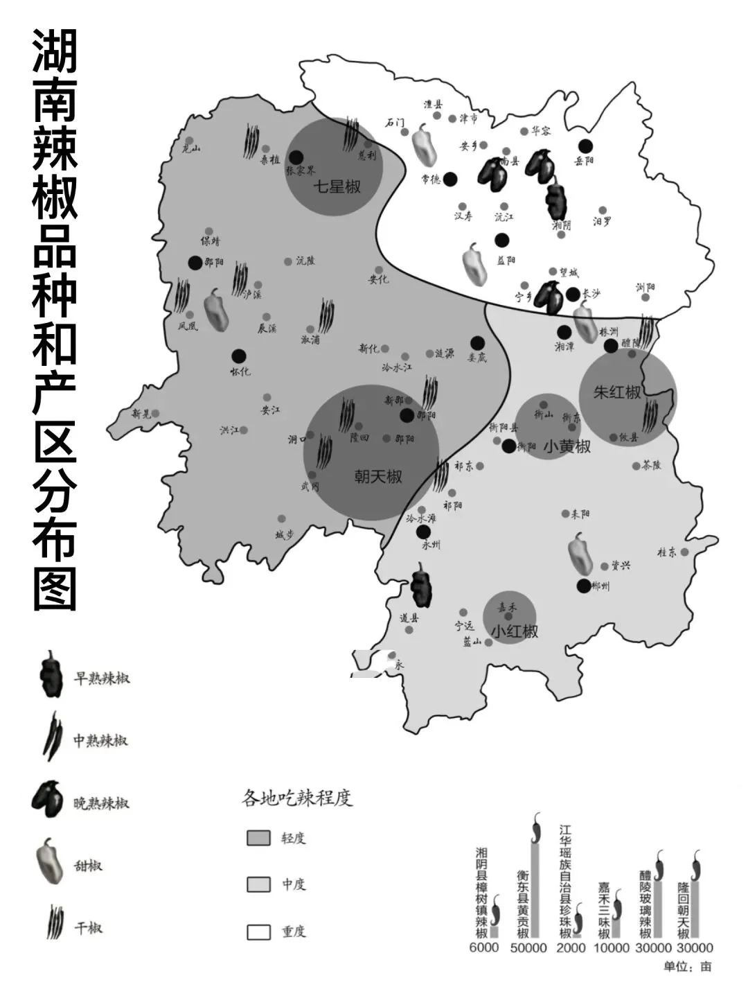 2026世界杯下注平台