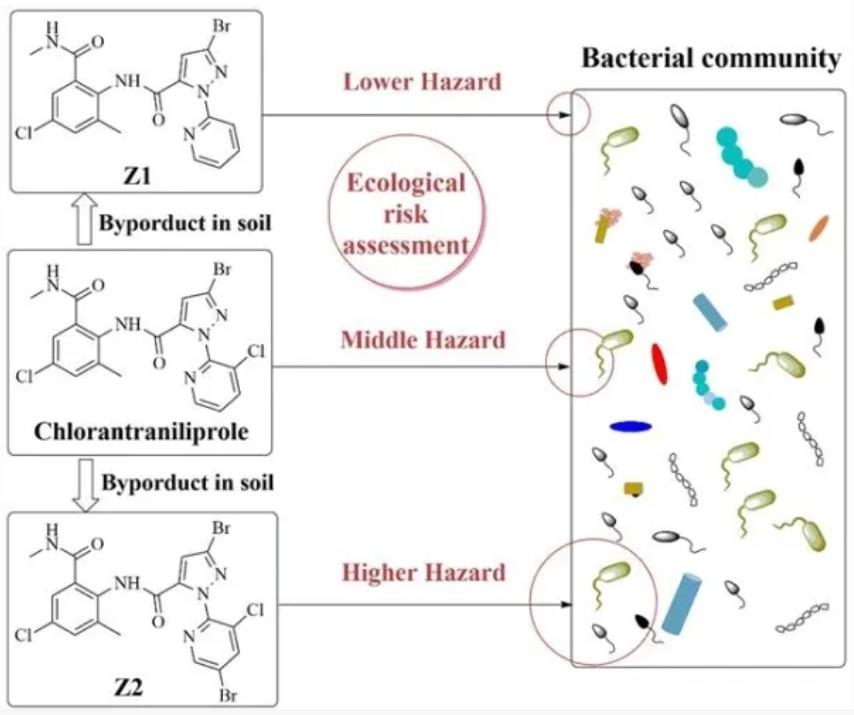 2026世界杯下注平台