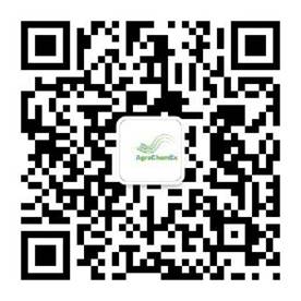 2026世界杯下注平台