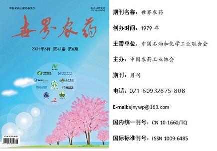 2026世界杯下注平台