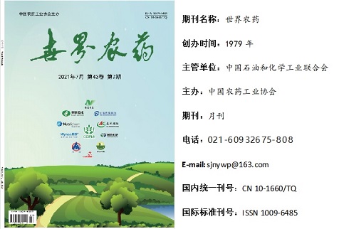 2026世界杯下注平台