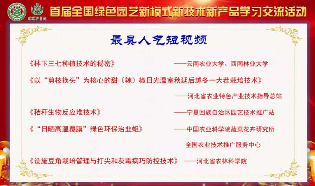 2026世界杯下注平台