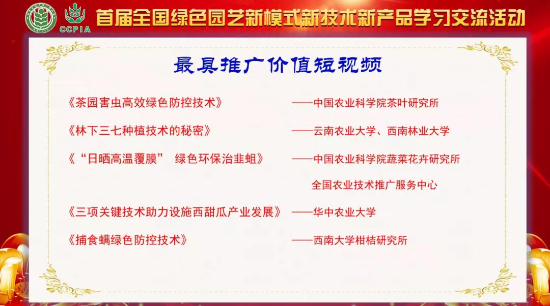 2026世界杯下注平台