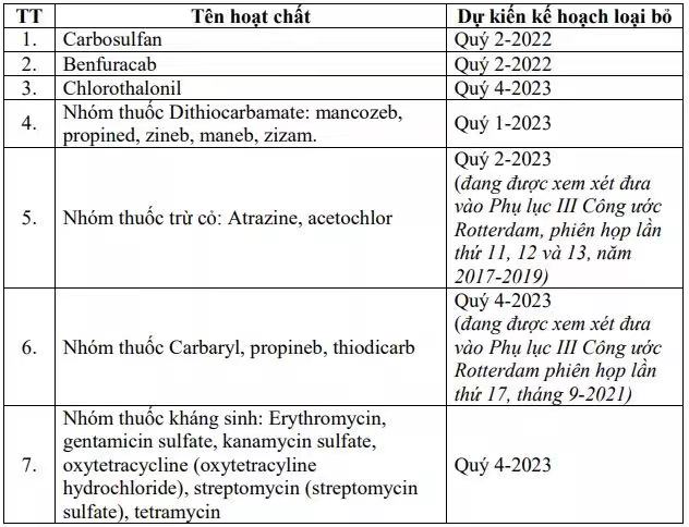 2026世界杯下注平台
