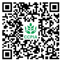 2026世界杯下注平台