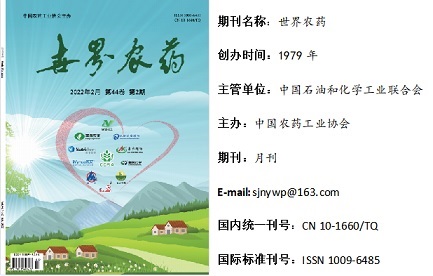 2026世界杯下注平台