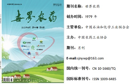 2026世界杯下注平台