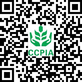 2026世界杯下注平台