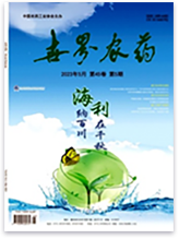 2026世界杯下注平台