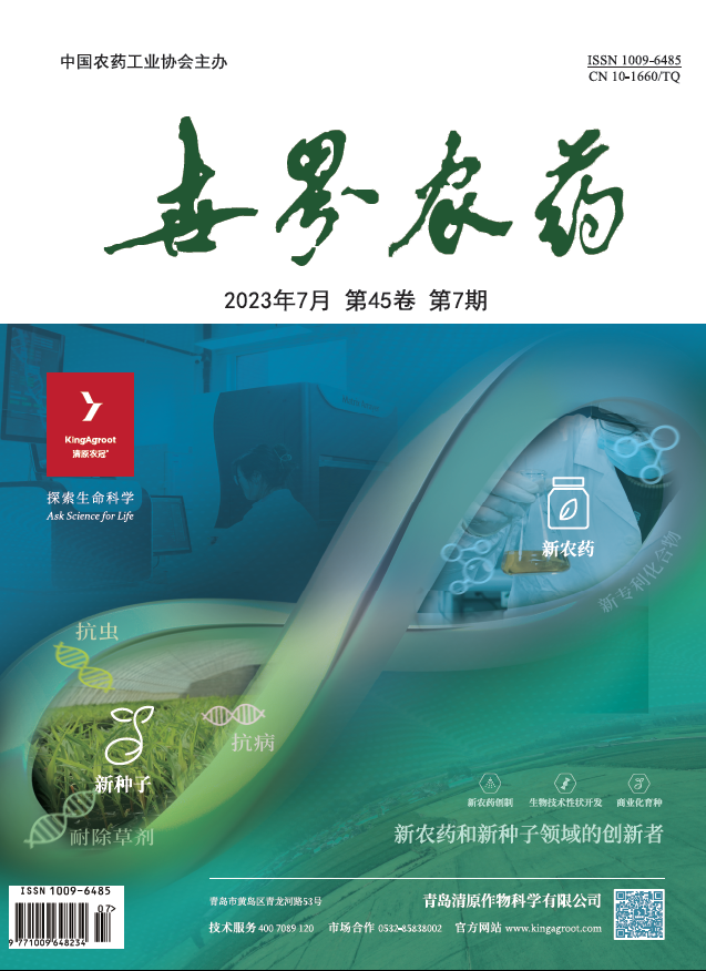 2026世界杯下注平台