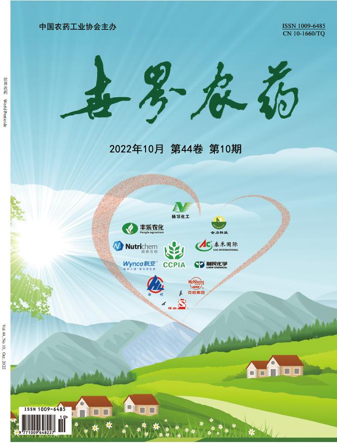 2026世界杯下注平台