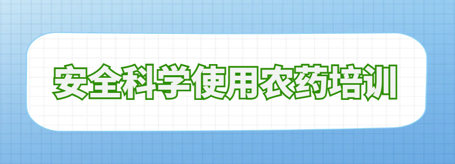 世界杯投注网站培训