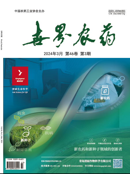 2026世界杯下注平台