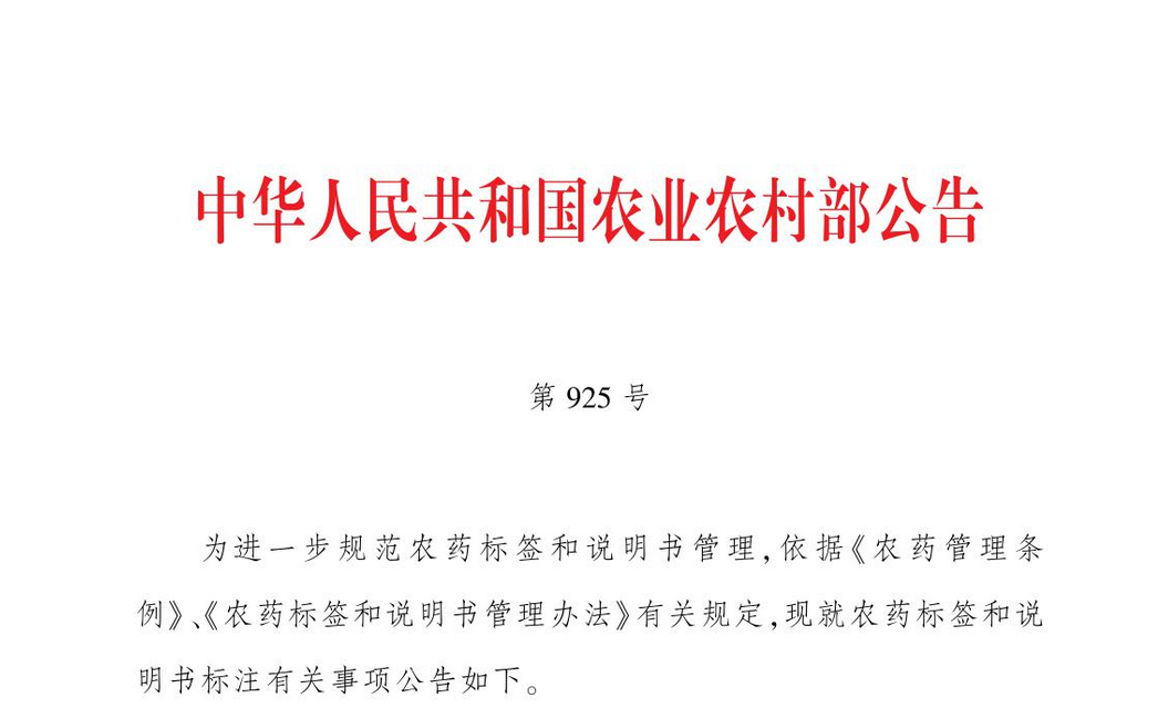 2026世界杯下注平台